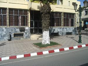 ORAN MAI 2008 2969 Tlemcen